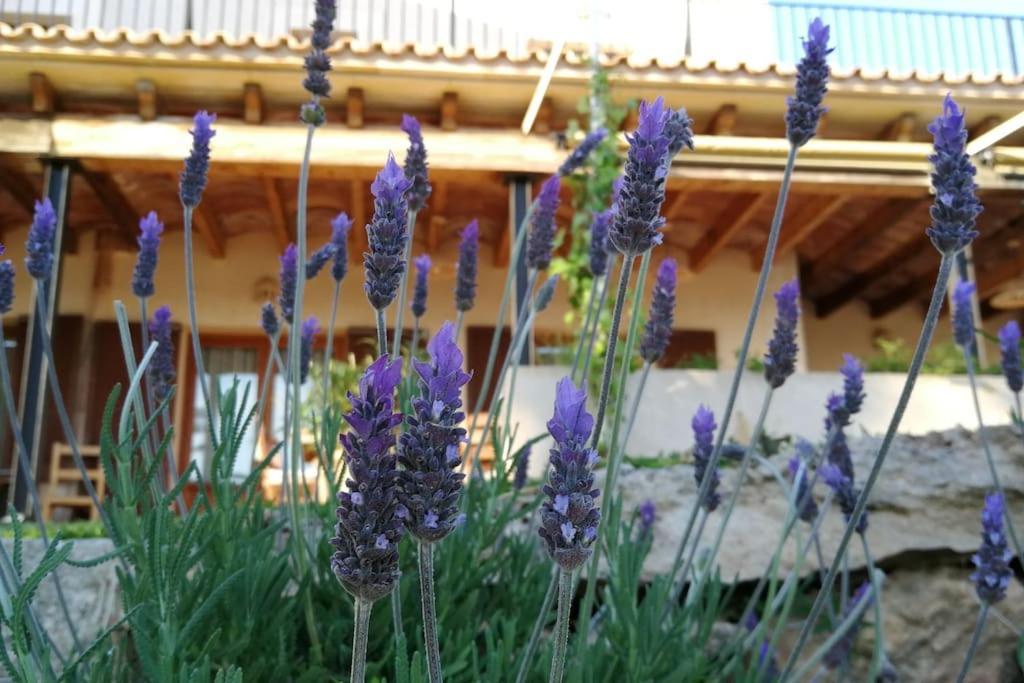 Finca Rural S'Estepa 帕爾馬 外观 照片