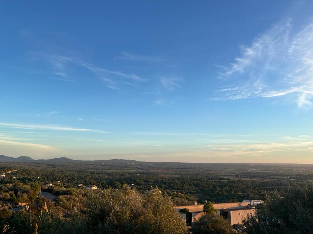Finca Rural S'Estepa 帕爾馬 外观 照片